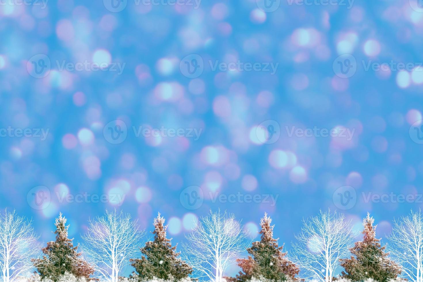 Greeting card. Frozen winter forest with snow covered trees. photo