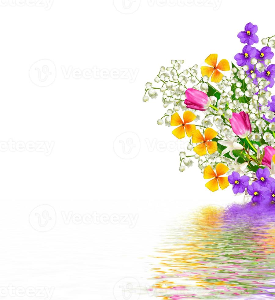 Colorful spring flowers photo