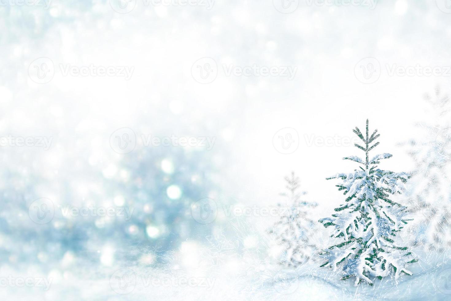 Blurred background. winter forest with snow covered trees. photo