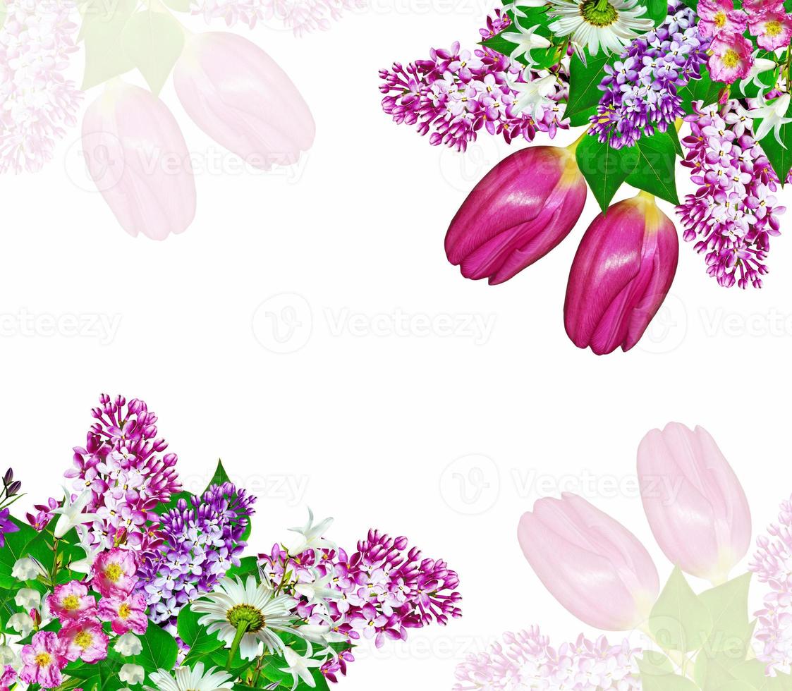 Branch of bright and colorful spring flowers photo