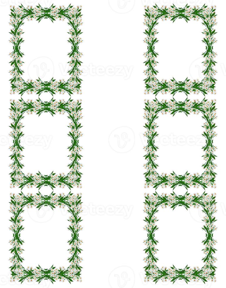 Round frame of flowers daisies photo