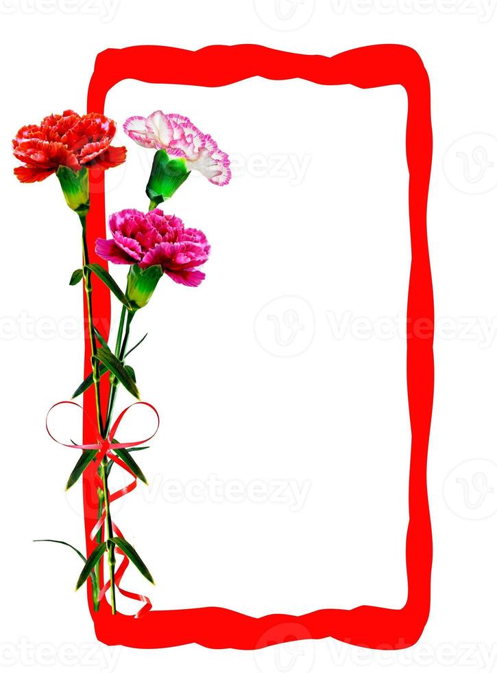 Bouquet of flowers carnation. Flowers isolated on white background. photo