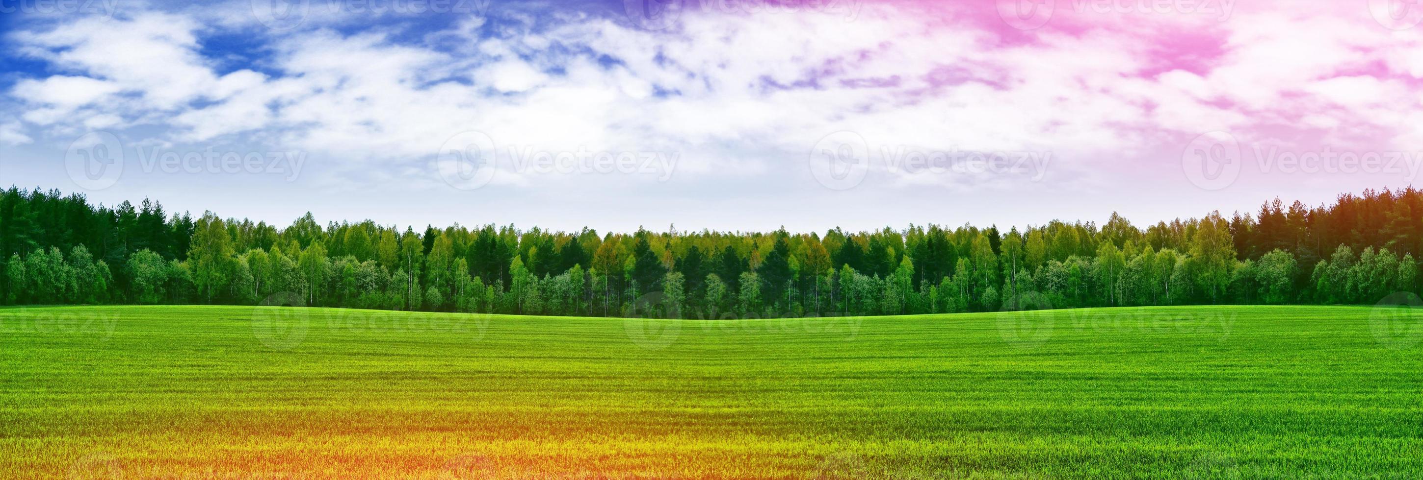 paisaje con árboles de color verde brillante y cielo azul. foto