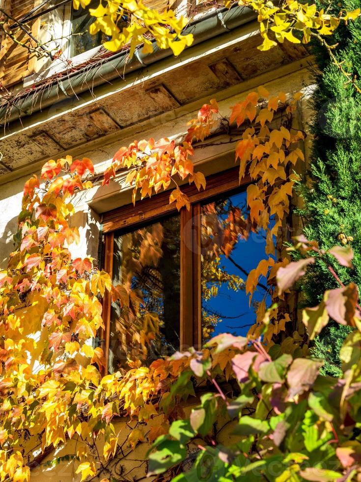 colores de otoño en la ciudad de estrasburgo. amarillo, rojo, naranja foto