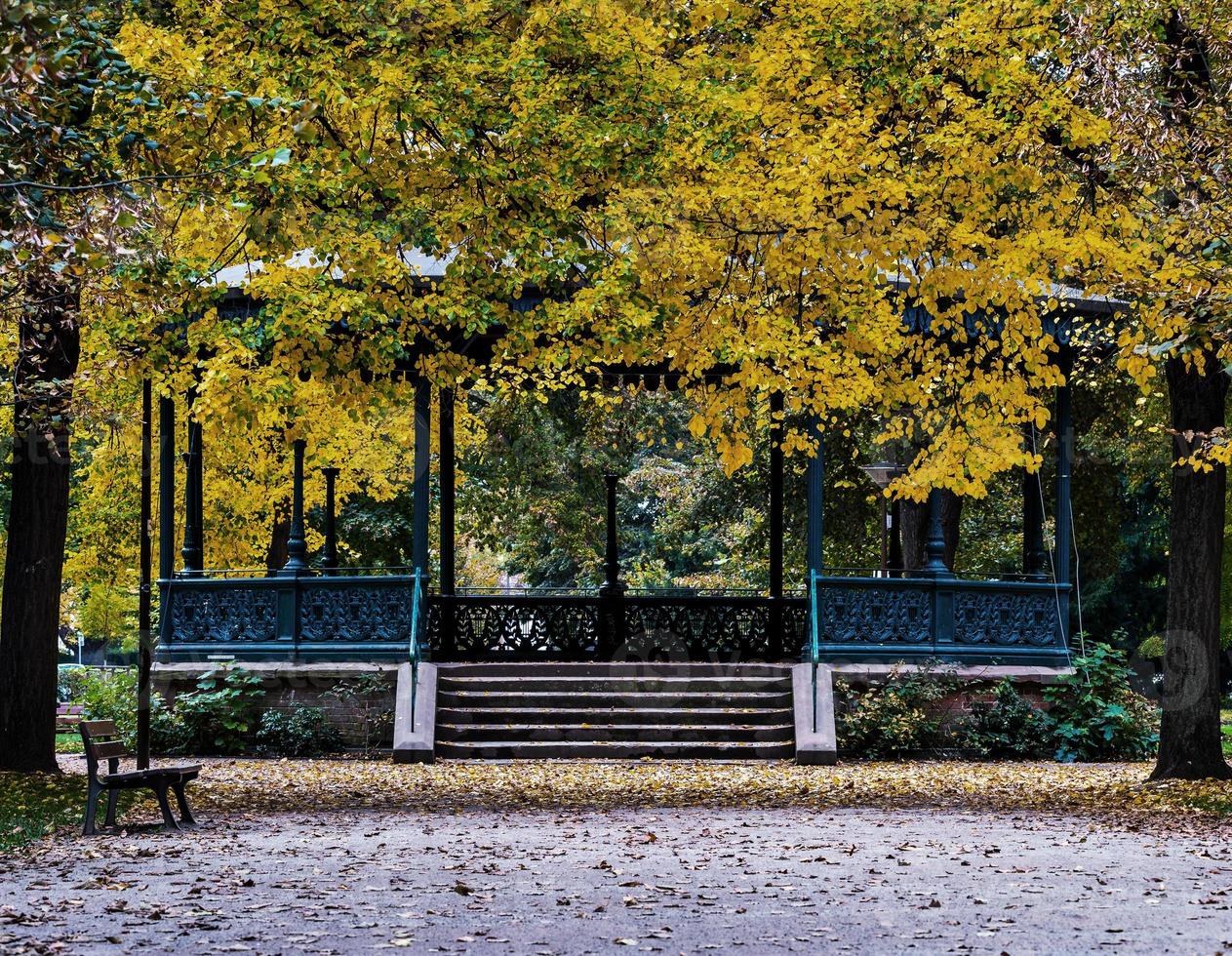 colores de otoño en la ciudad de estrasburgo. amarillo, rojo, naranja foto