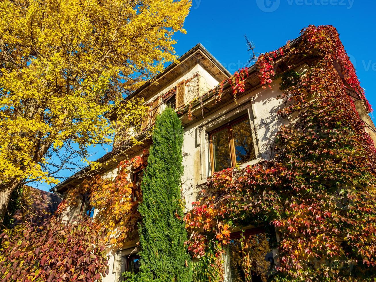 colores de otoño en la ciudad de estrasburgo. amarillo, rojo, naranja foto