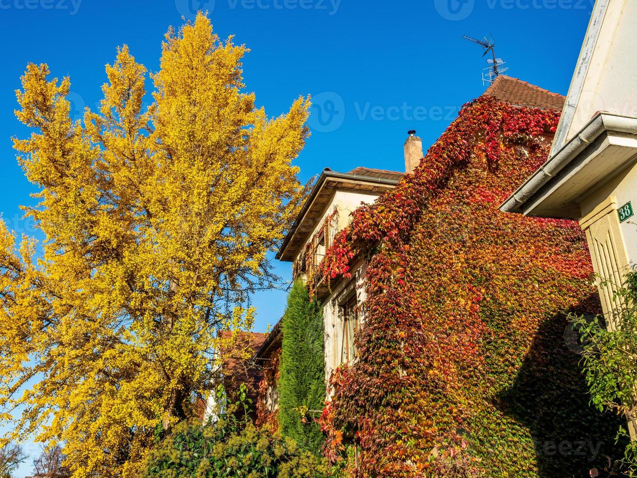 colores de otoño en la ciudad de estrasburgo. amarillo, rojo, naranja foto