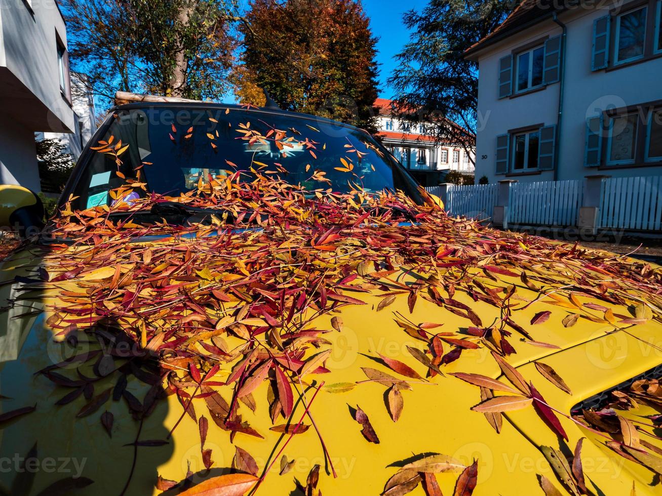 Autumn colors in the city of Strasbourg. Yellow, red, orange photo