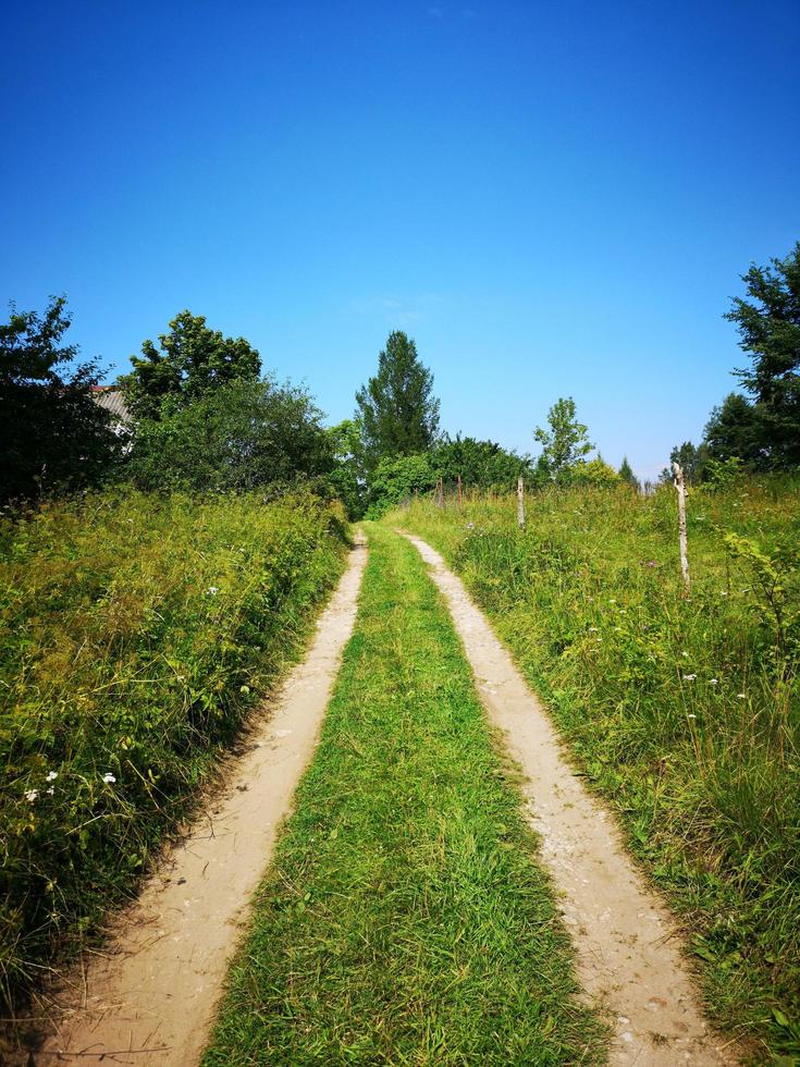 un camino en medio de un campo foto