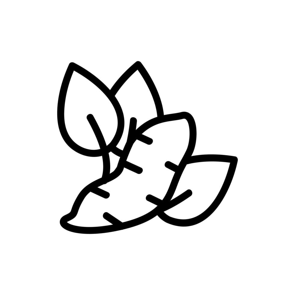 camote brotó con hojas icono vector ilustración de contorno