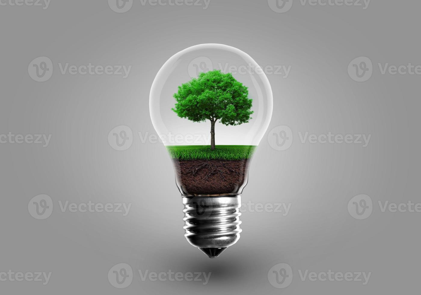 Ecology Concept. Green tree growing in light bulb on a gray background photo