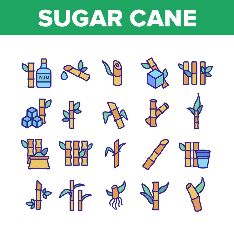 conjunto de iconos de colección de agricultura de caña de azúcar vector
