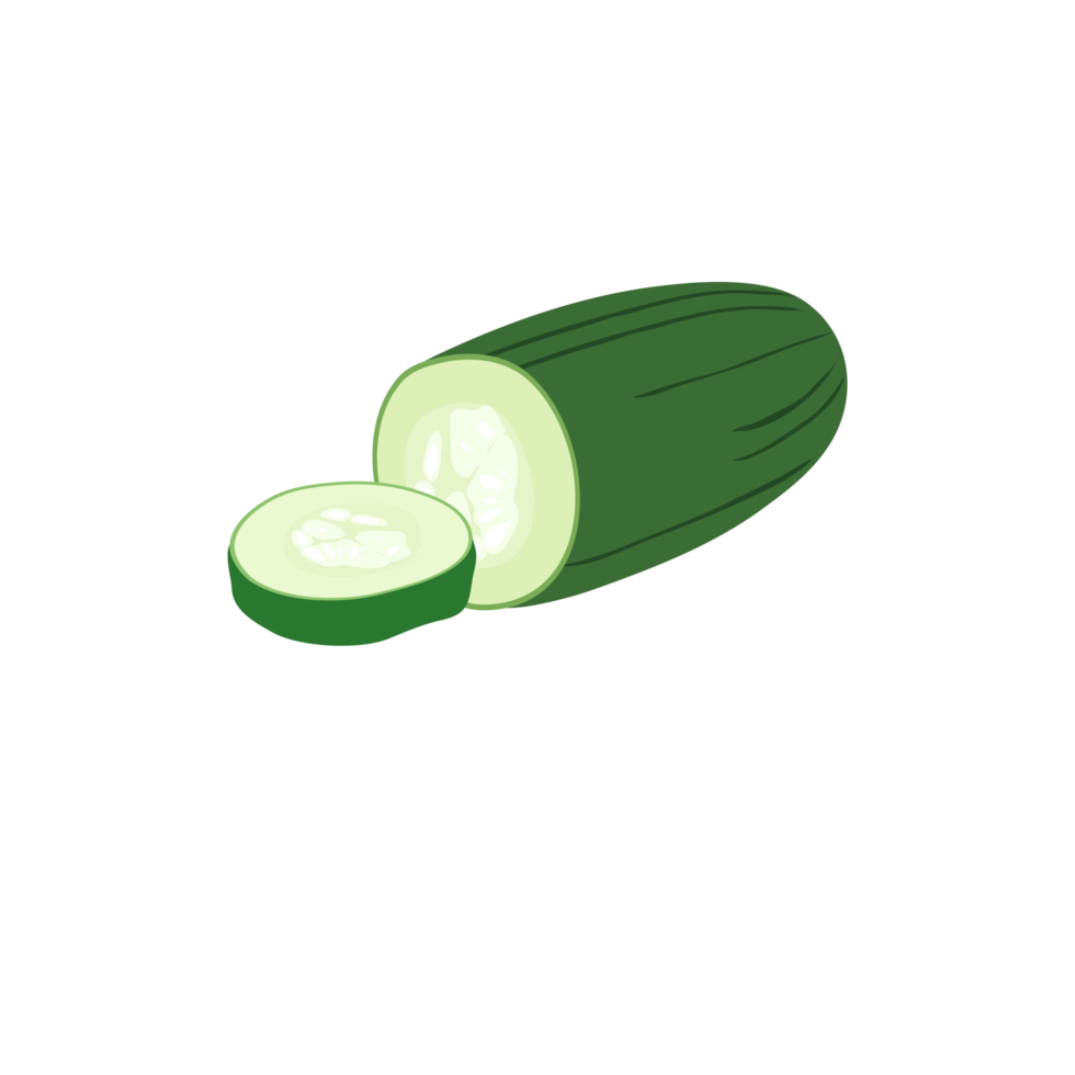 pepino verde sobre fondo transparente png