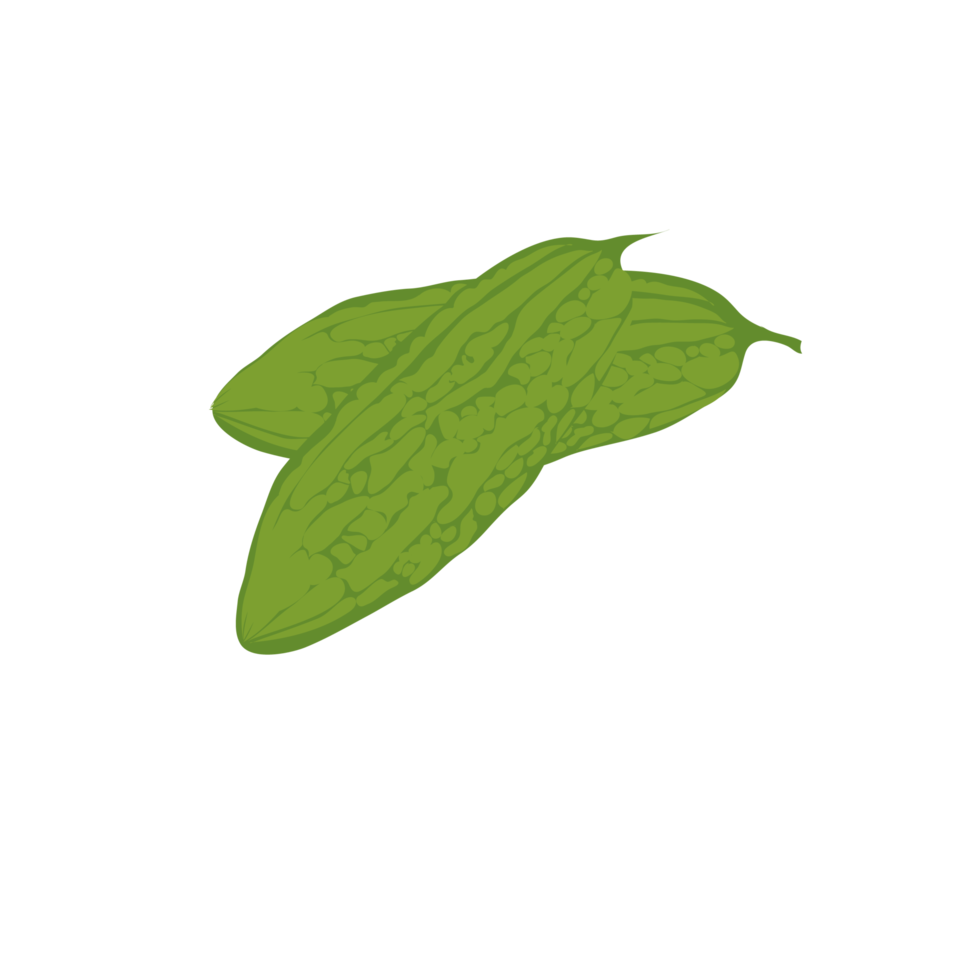 green bitter melon on transparent background png