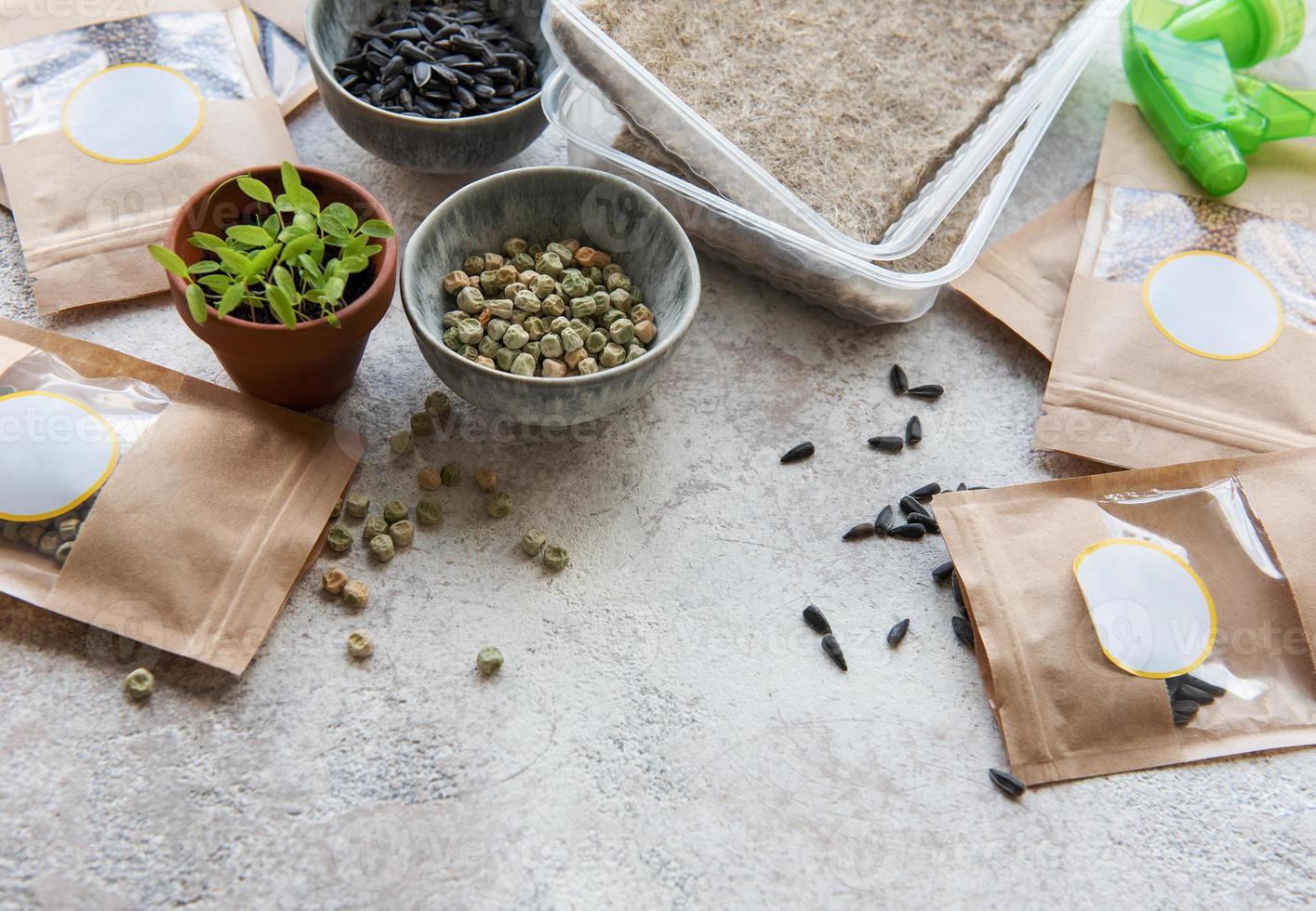 Microgreen seeds in paper bags and equipment for sowing microgreens. photo