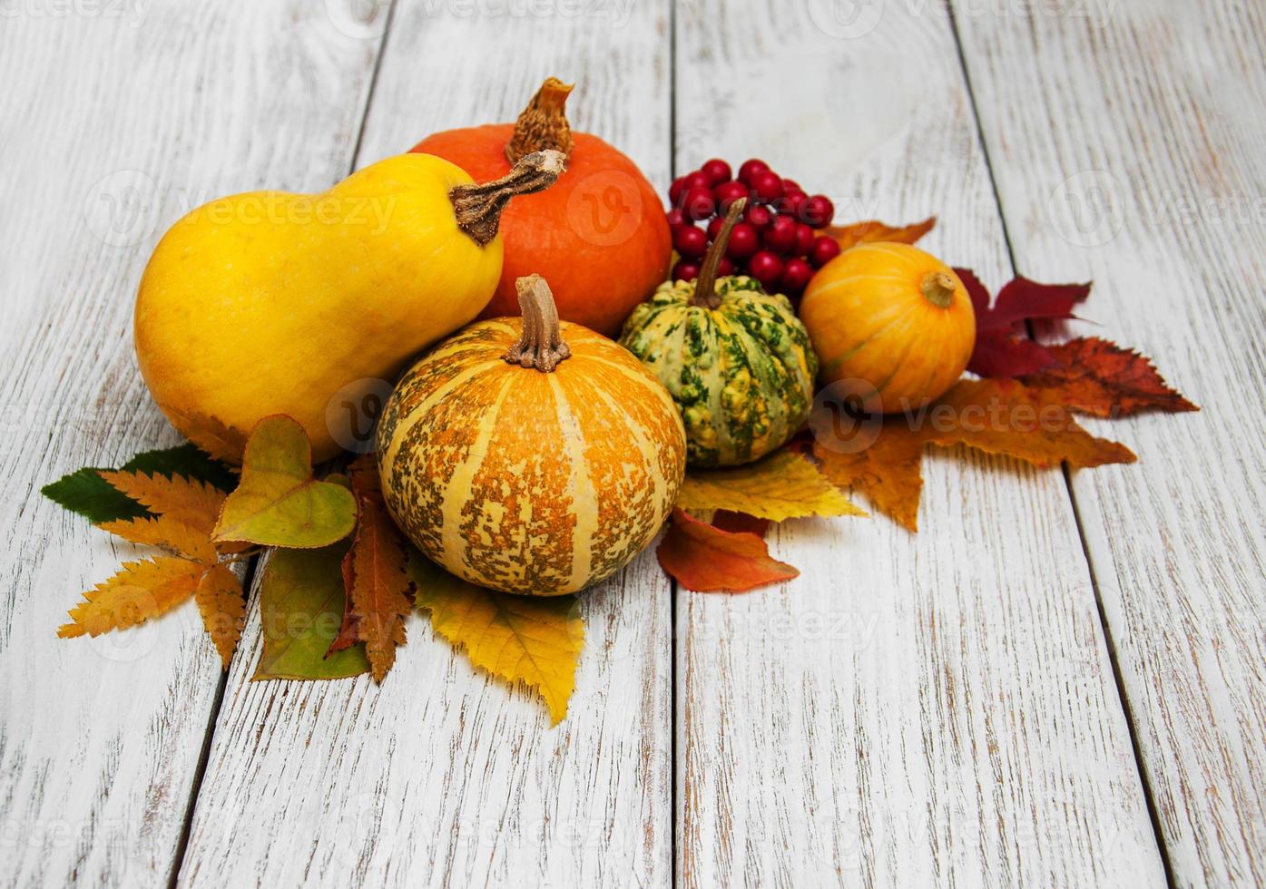 Pumpkin and leaves photo