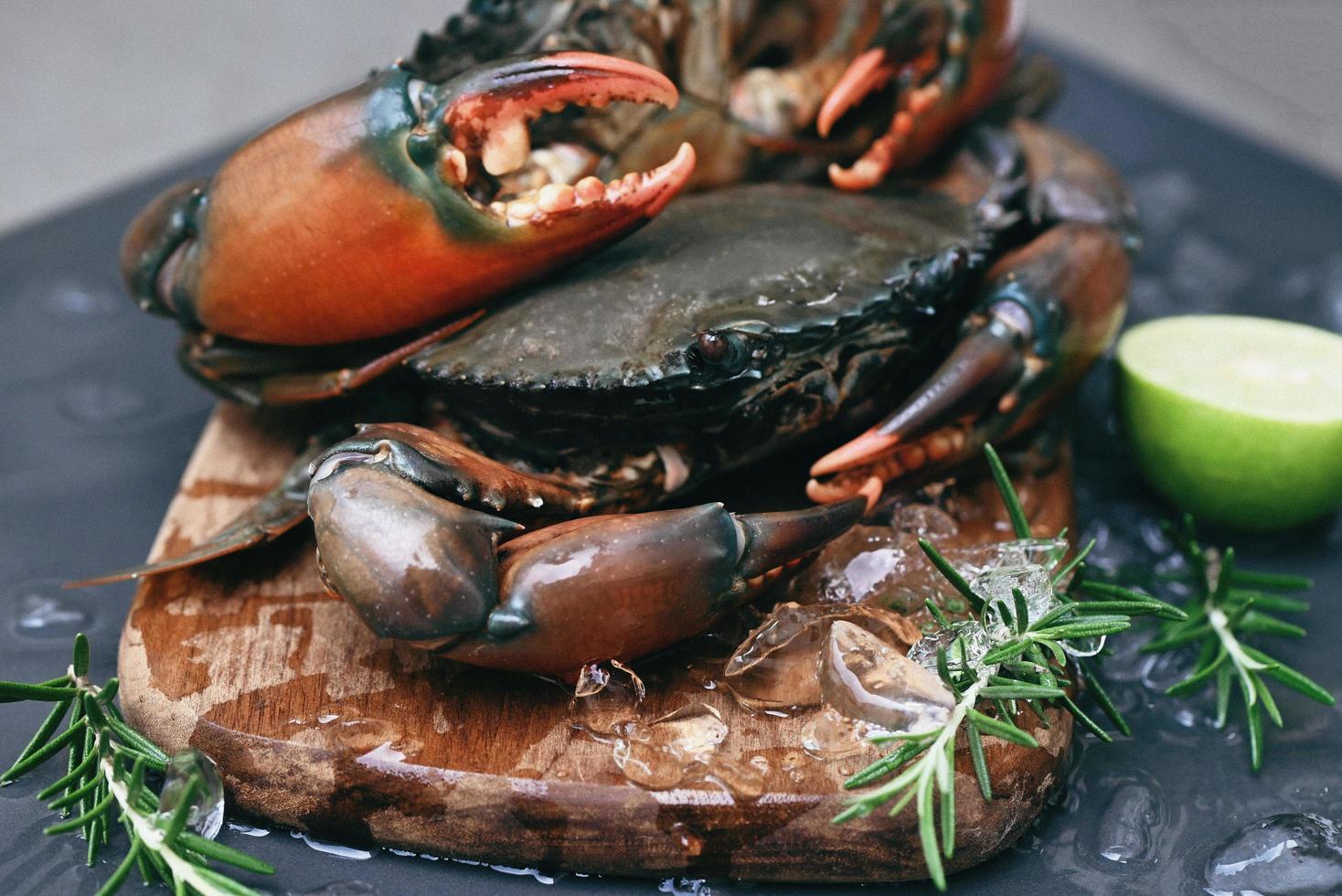 raw crab on wooden cutting board background , fresh mud crab with ice for cooking food in the seafood restaurant photo