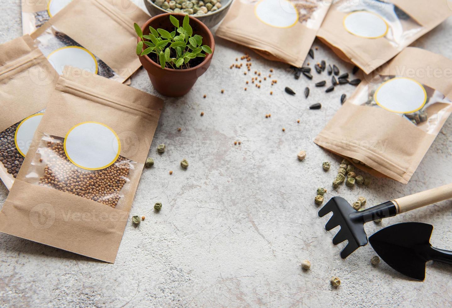Microgreen seeds in paper bags and equipment for sowing microgreens. photo