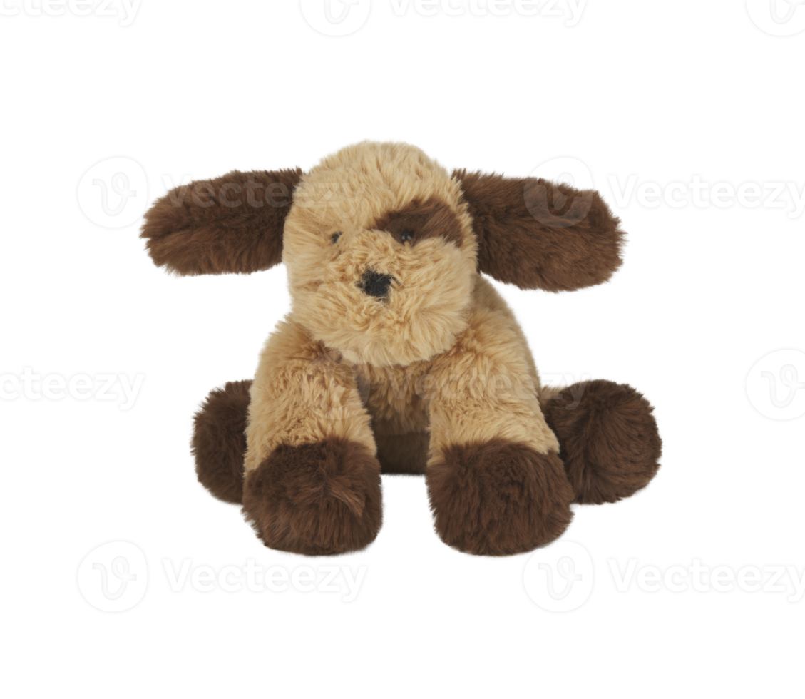 dog doll isolated on white background with clipping path png