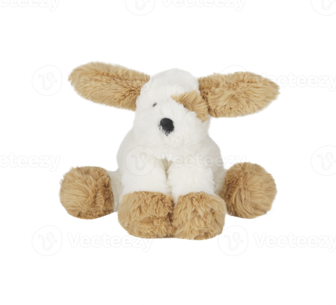 dog doll isolated on white background with clipping path png