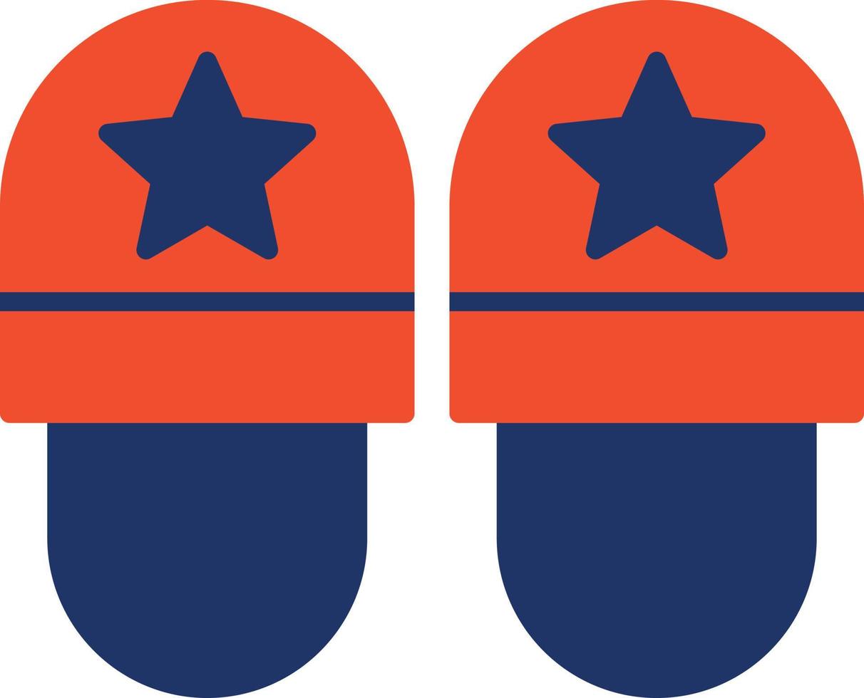 Slippers Color Icon vector