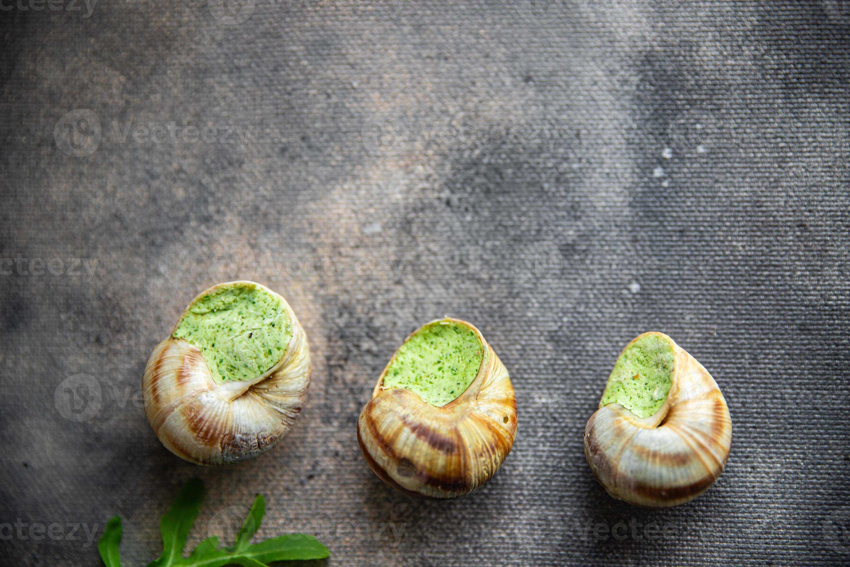 snails food green meal food snack diet on the table copy space food