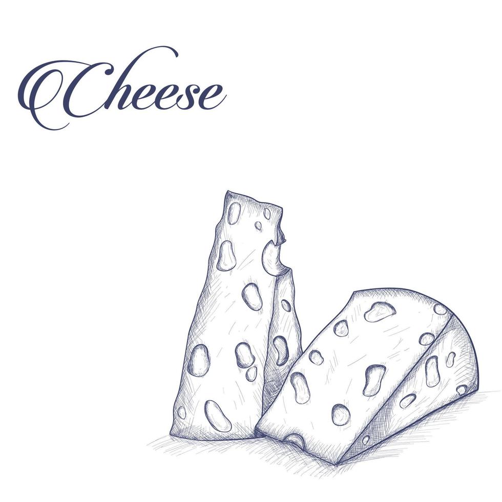 Sketch cheese to wine vector