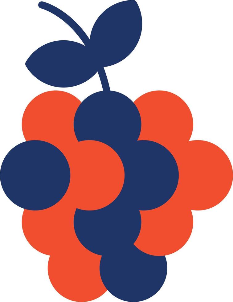 Grapes Color Icon vector