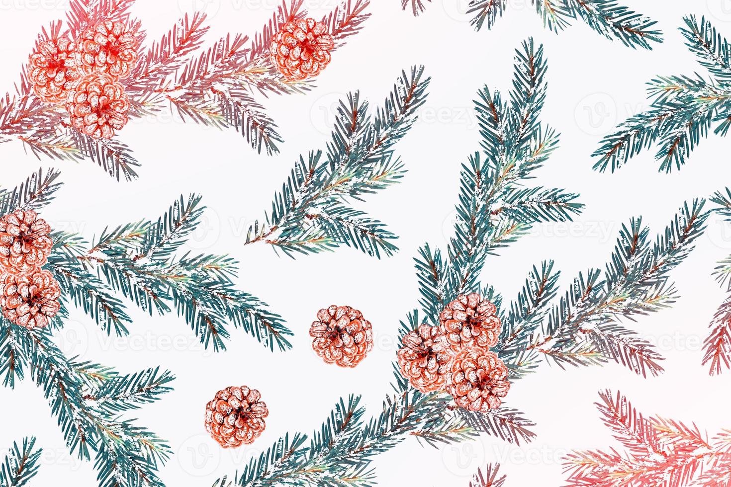 The branches of the snow covered tree Christmas tree photo