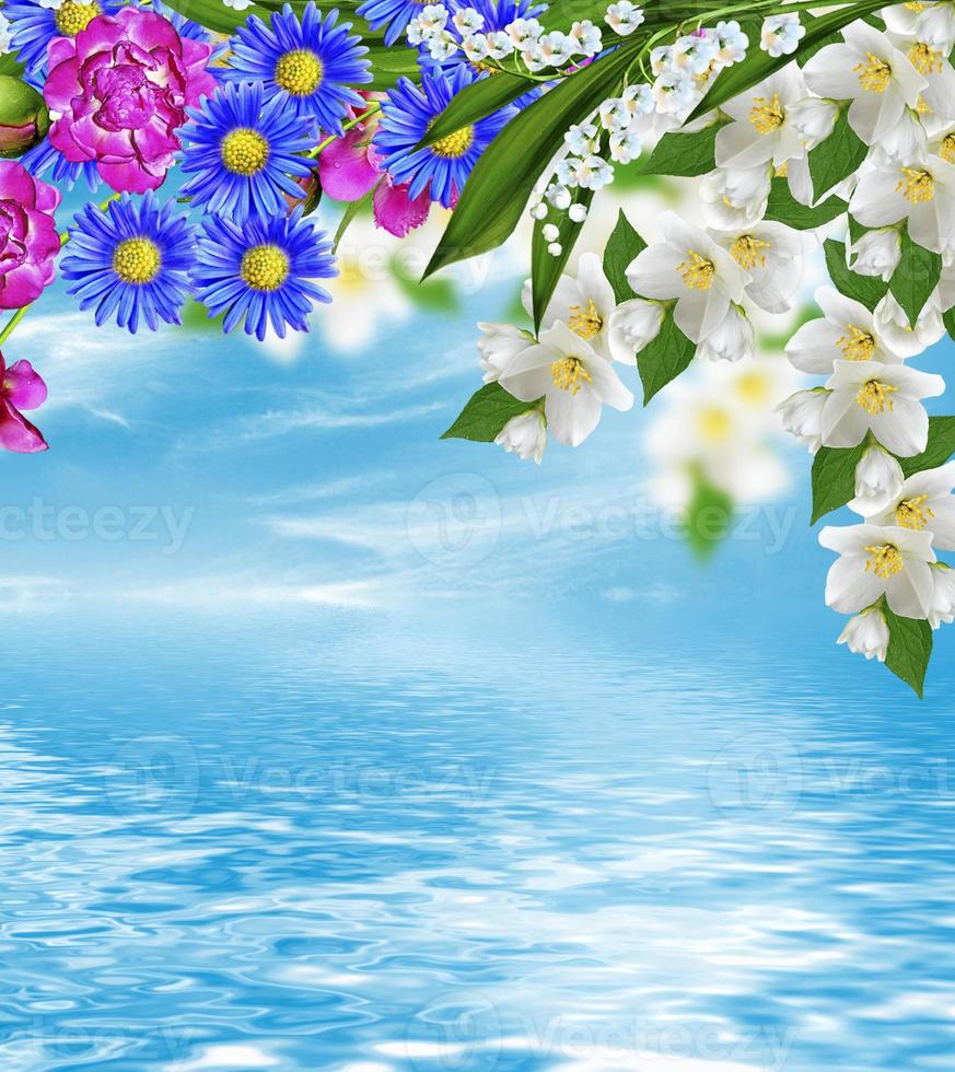 rama de flores de jazmín sobre un fondo de cielo azul con nubes 9860261  Foto de stock en Vecteezy