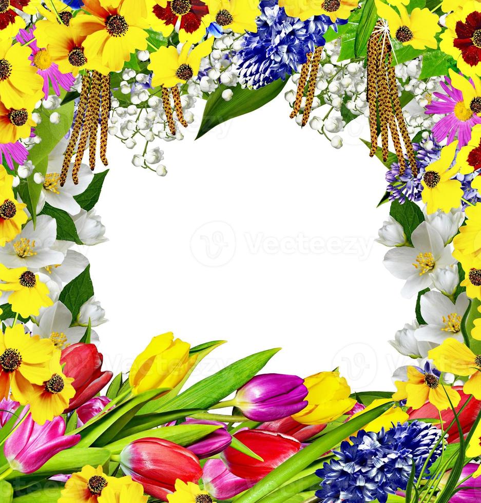 Spring flowers. frame photo