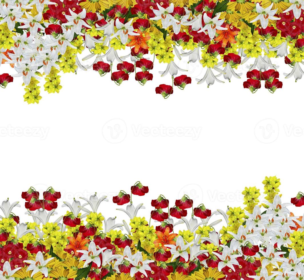 flores aisladas sobre fondo blanco foto