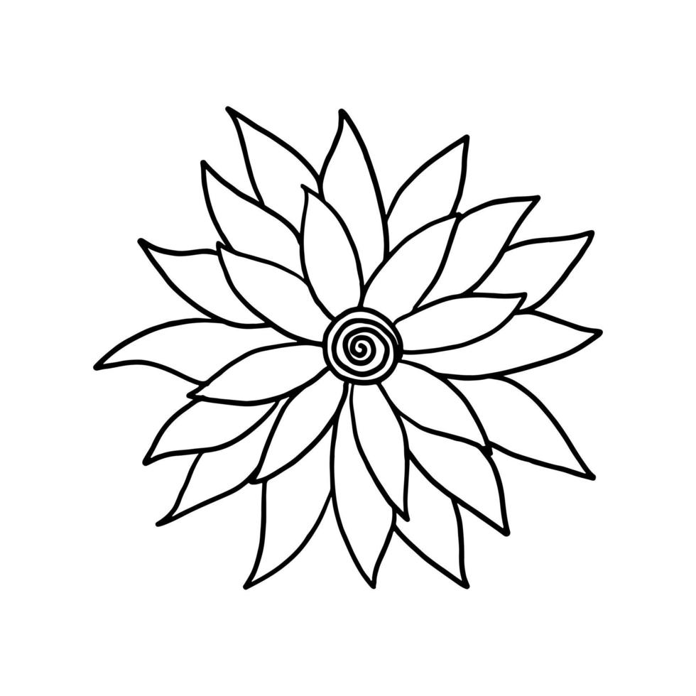 FLower in hand drawn doodle style. Floral sketch isolated on white background. vector