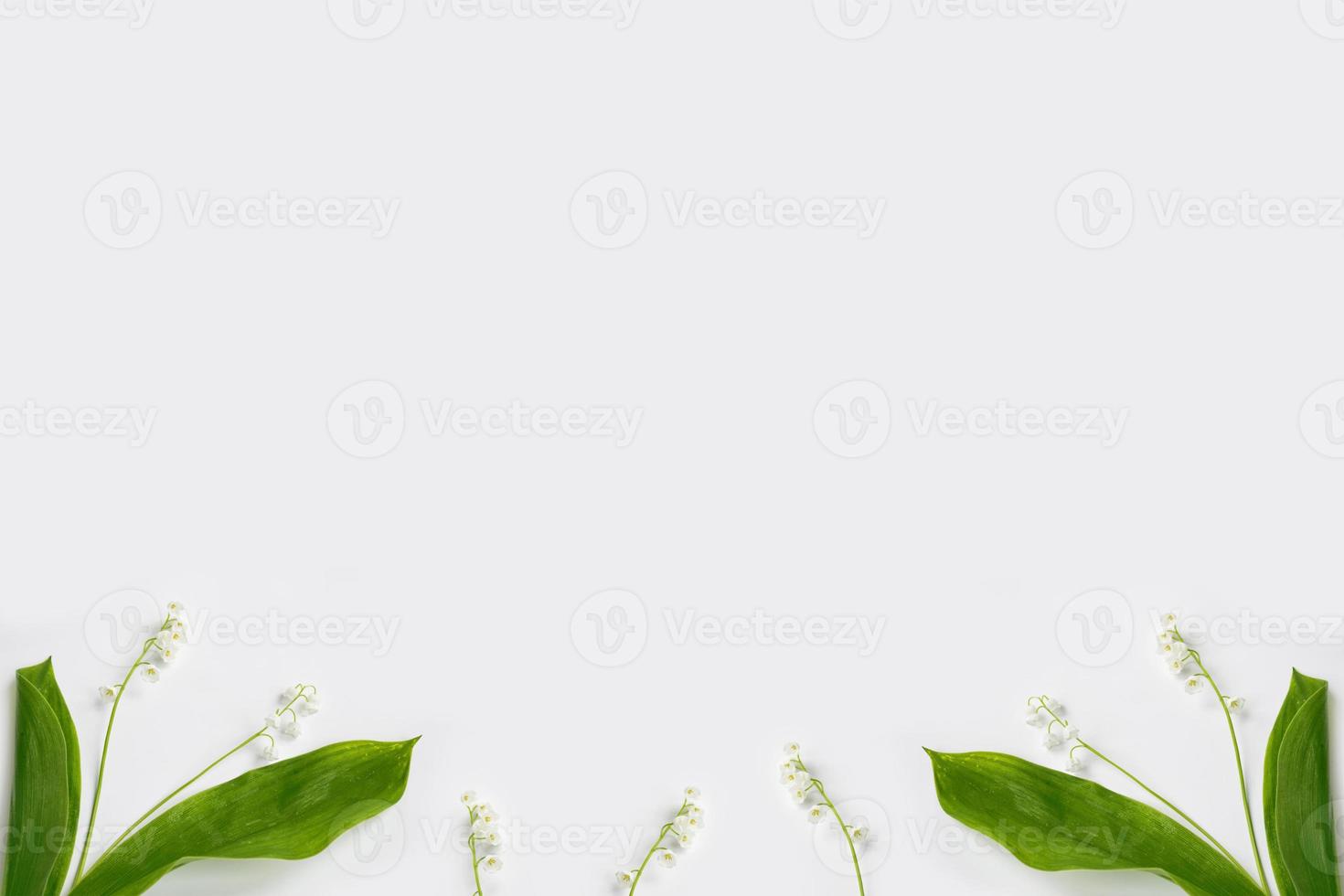 Lily of the valley flower photo