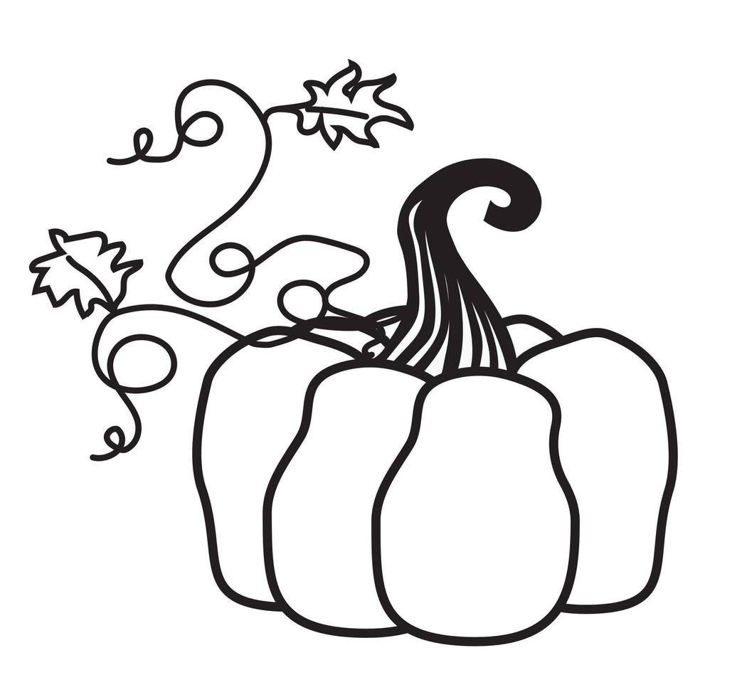 Ripe pumpkin. Vector. vector