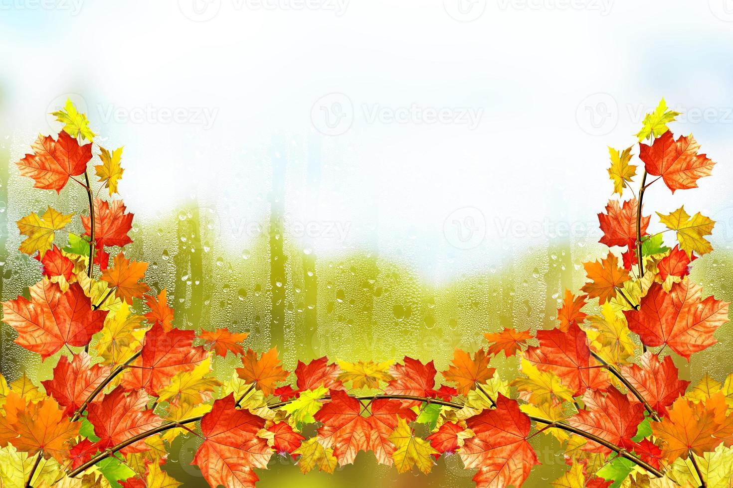 Autumn landscape. Beautiful autumn leaves. Golden autumn. photo