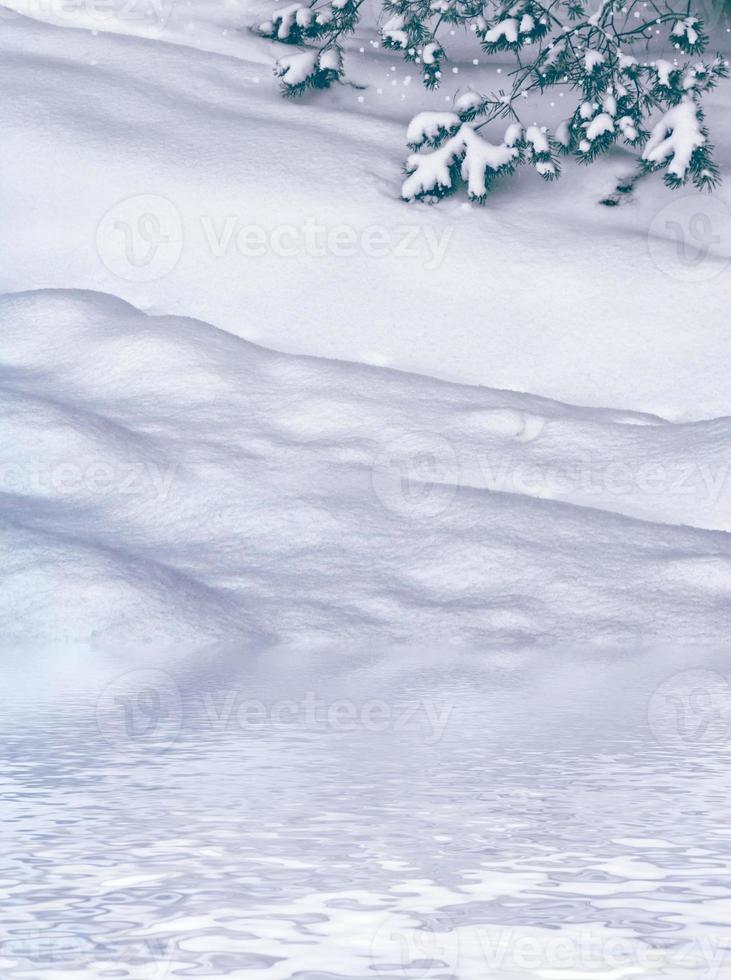 forest in the frost. Winter landscape. Snow covered trees. photo