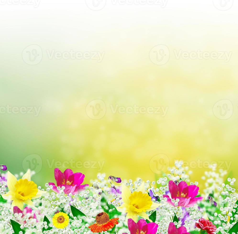 Bright and colorful spring flowers. Floral background. photo