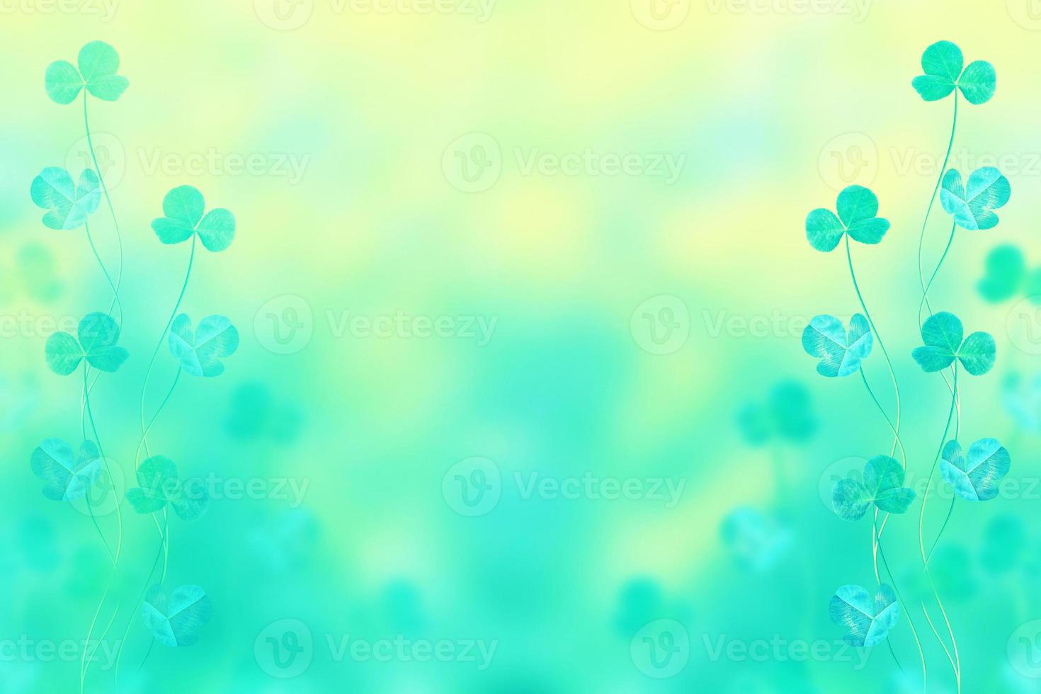 Green clover leaves on a background summer landscape photo