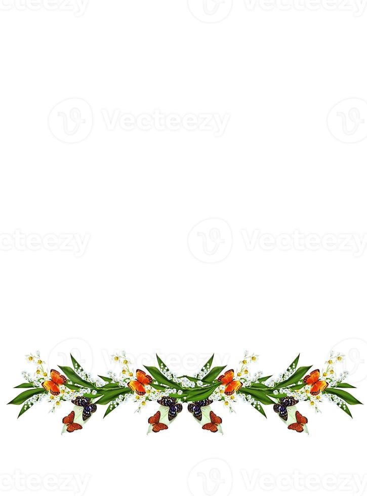 branch of flowers and butterflies isolated on a white background photo