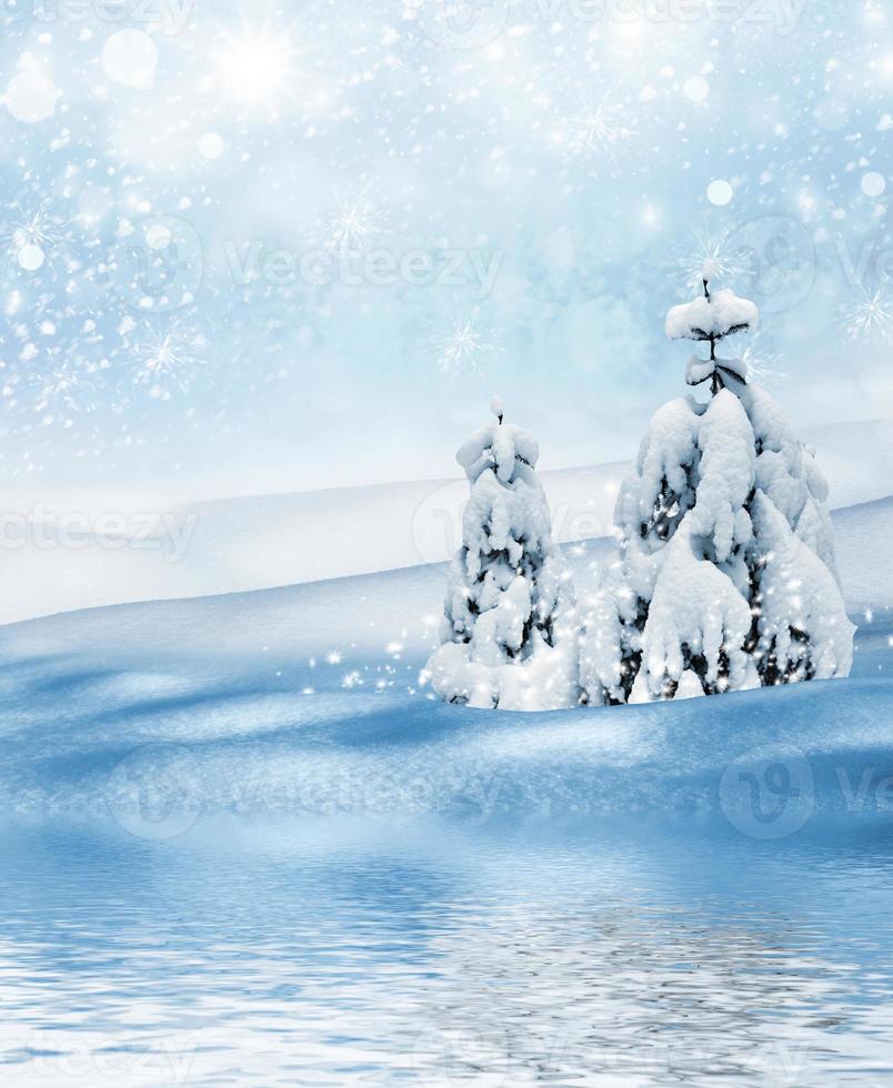 Winter landscape. Background photo