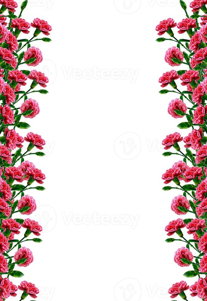 Bouquet of flowers carnation. Flowers isolated on white background. photo