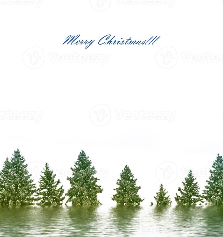 Christmas card with fir branches. photo
