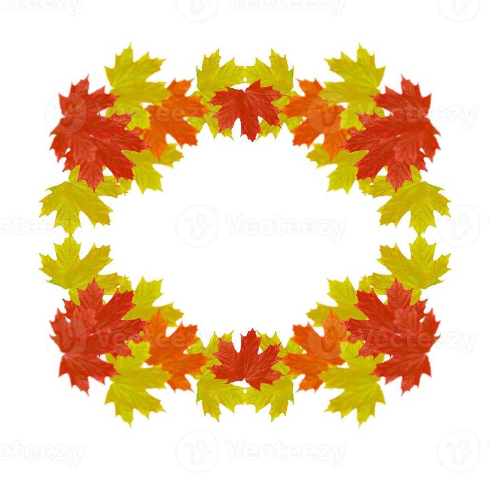 Bright colorful autumn foliage photo