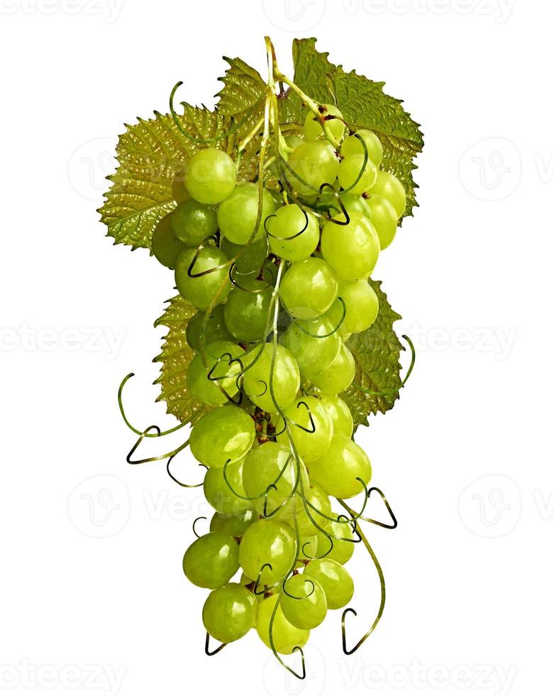Grapes isolated on white background photo