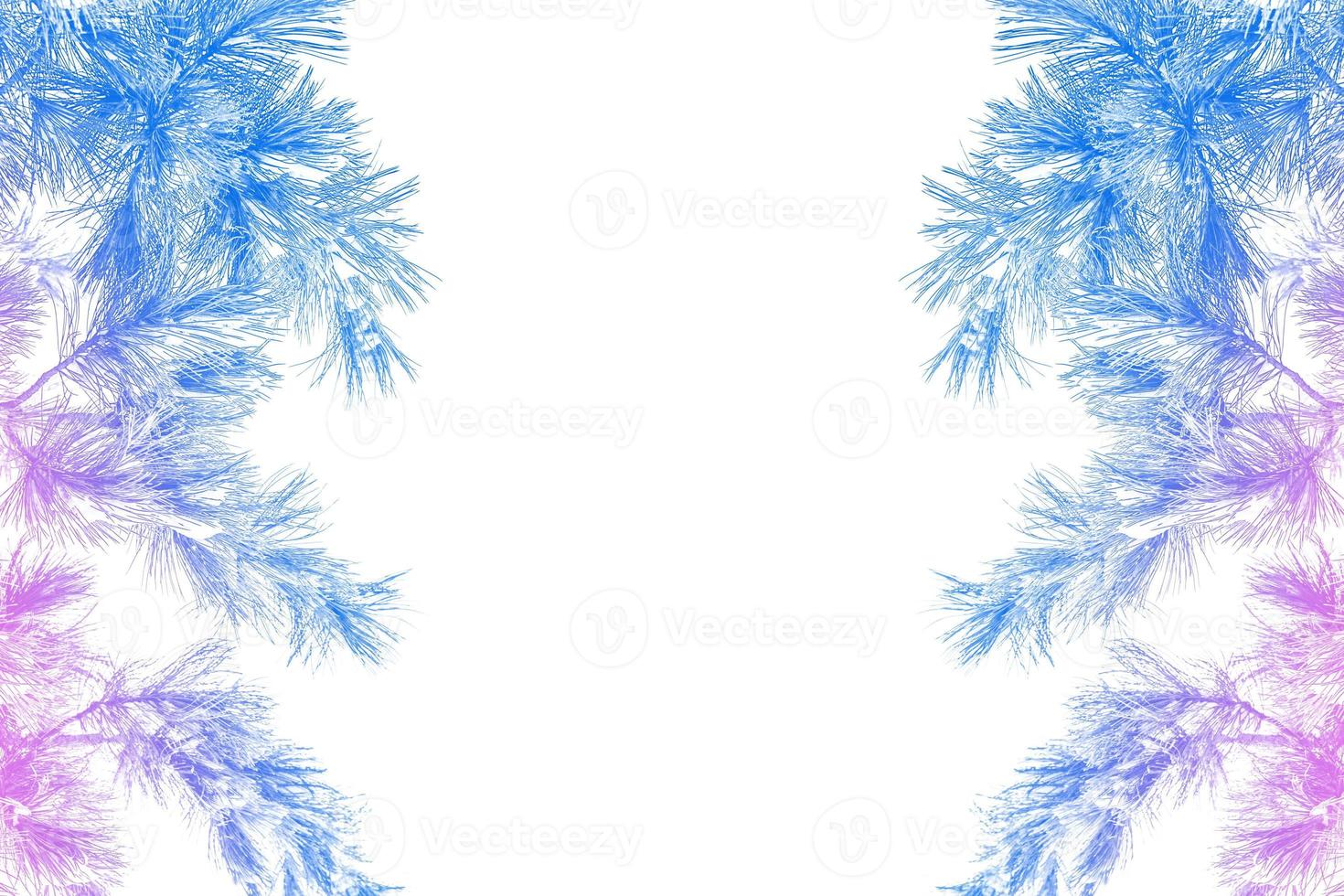 Frozen winter forest with snow covered trees. photo