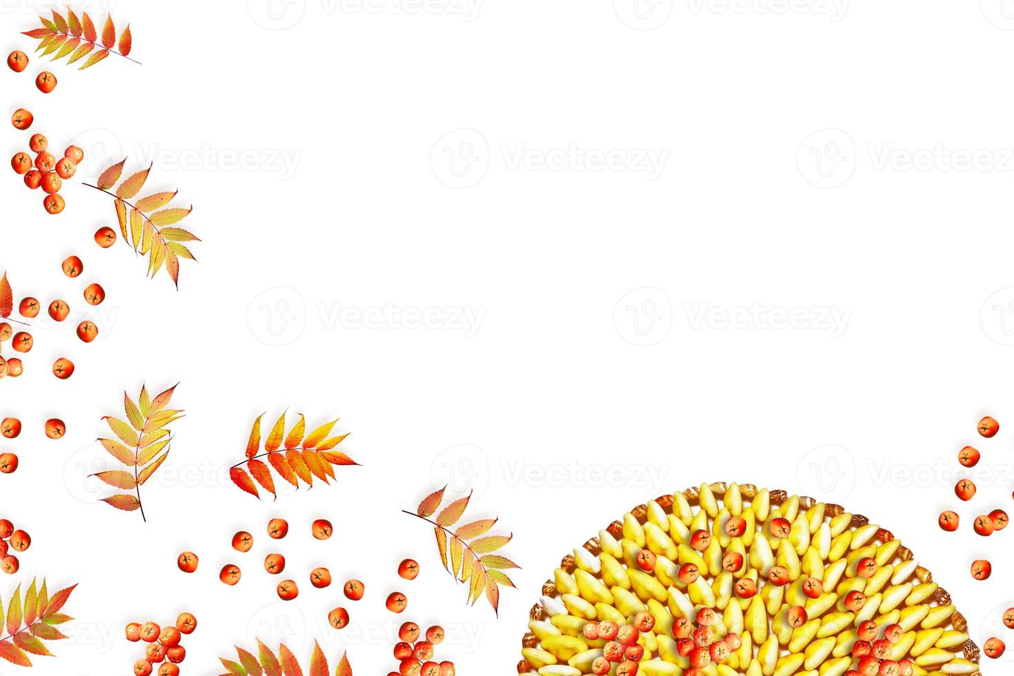 Colorful autumn foliage isolated on white background. Indian summer. photo