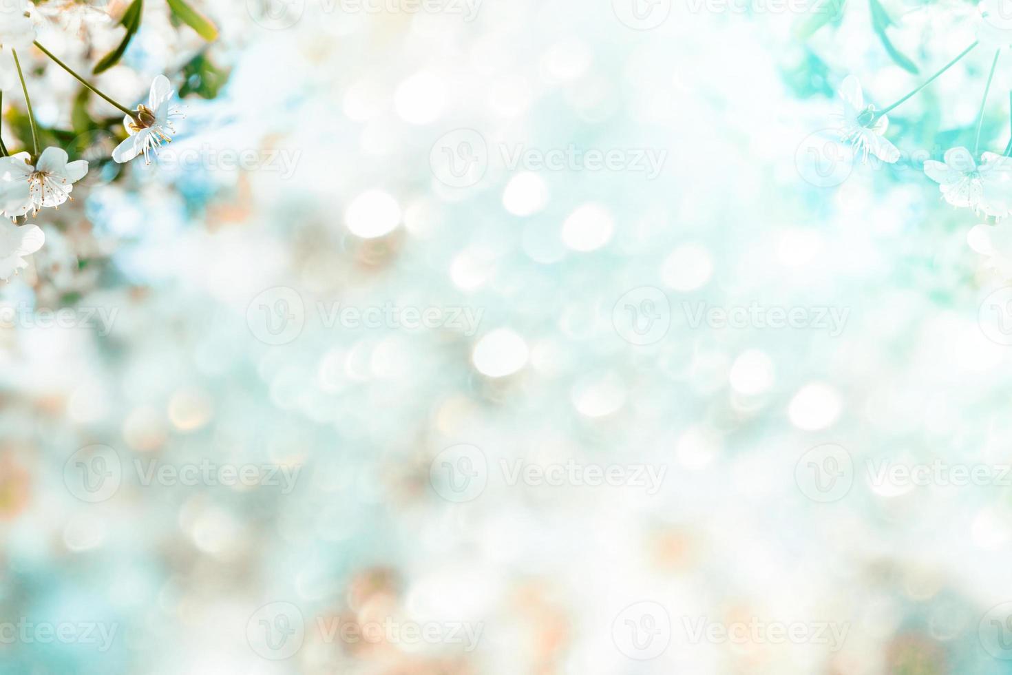 Bright colorful spring flowers photo