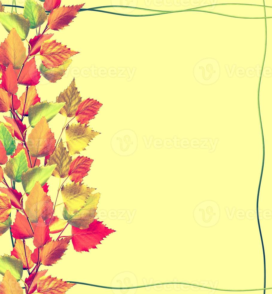 Colorful autumn leaves. Frame from stem nasturtium photo