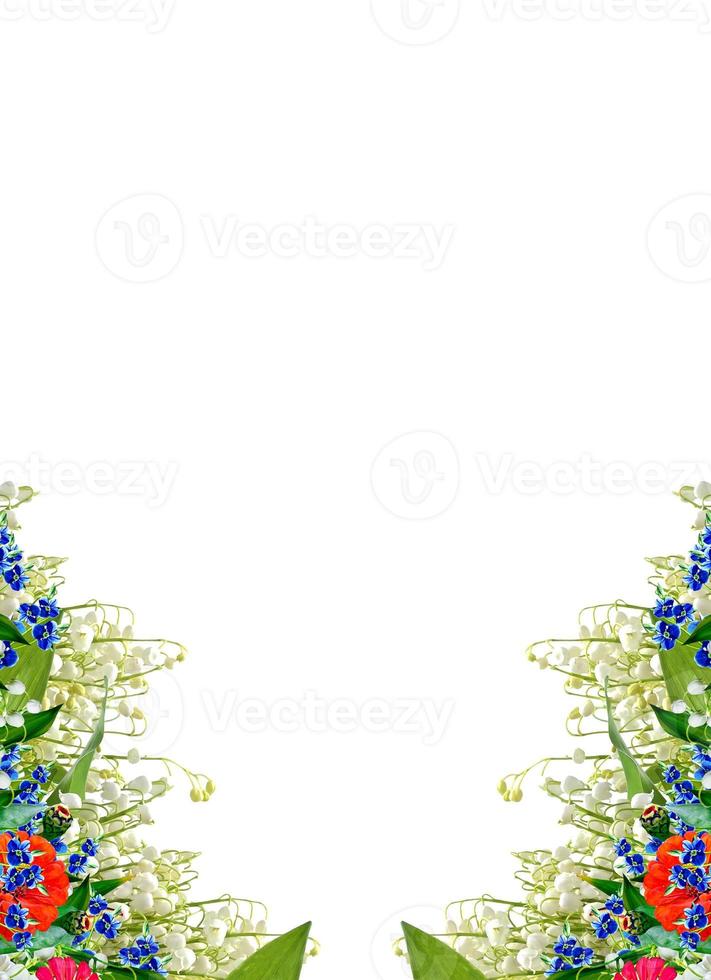 Beautiful flowers isolated on white background. Floral background. photo